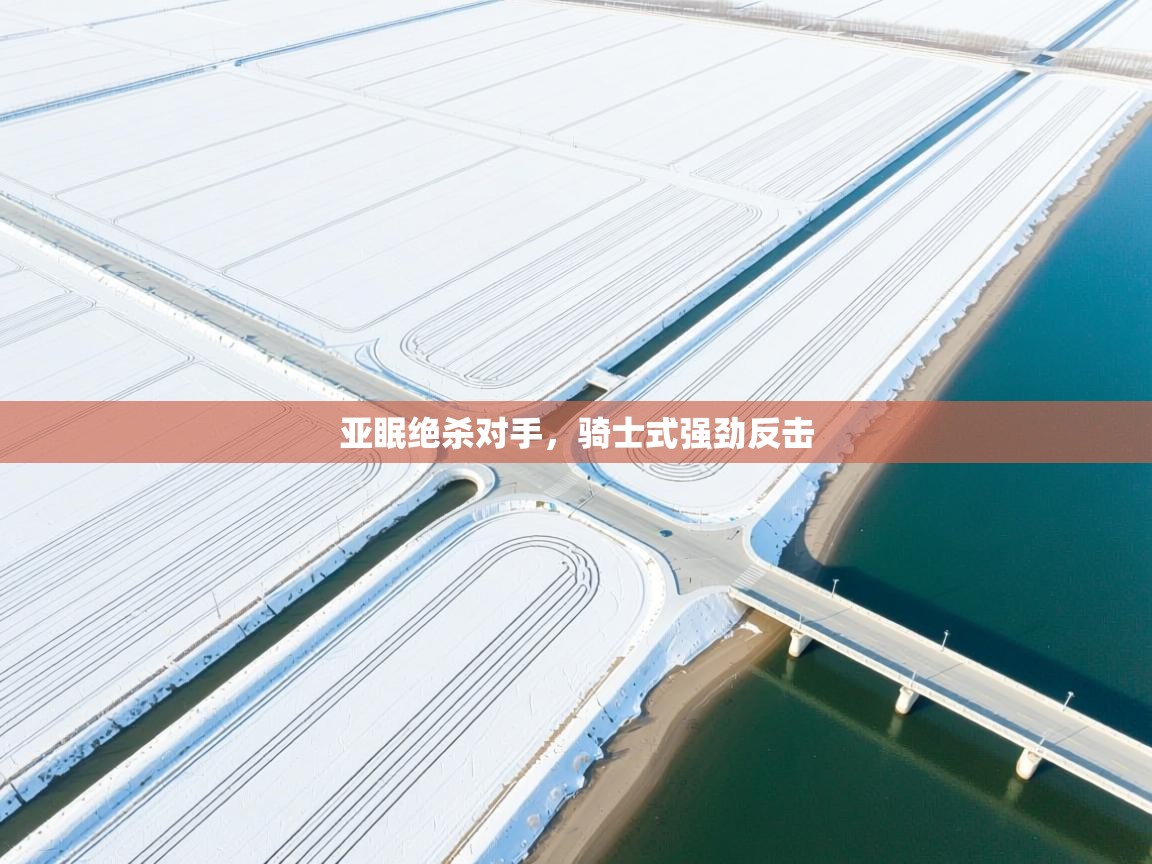 亚眠绝杀对手，骑士式强劲反击  第2张