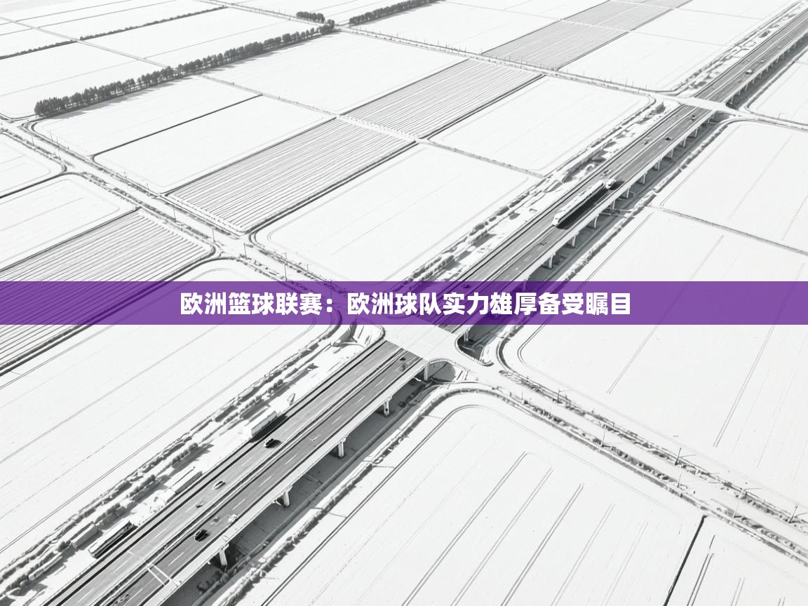 欧洲篮球联赛：欧洲球队实力雄厚备受瞩目  第1张