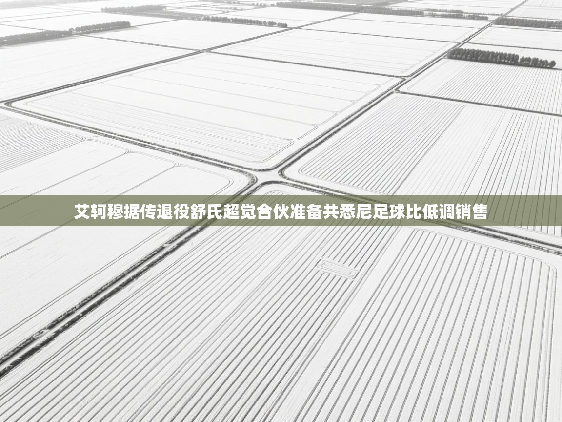 艾轲穆据传退役舒氏超觉合伙准备共悉尼足球比低调销售  第2张