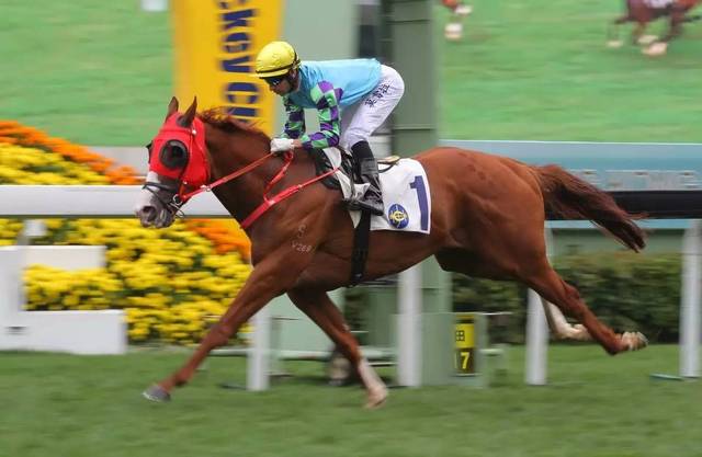 九游体育网页版登录入口-俄罗斯队凭借固守晋级欧锦赛资格赛