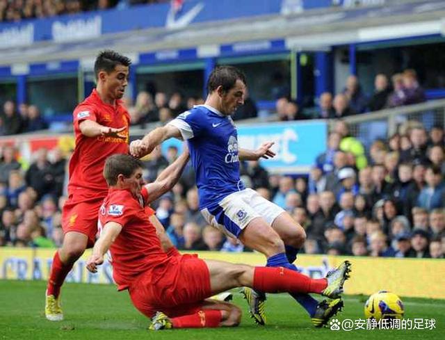 九游体育在线-埃弗顿负斯旺西，主场连败两场的简单介绍