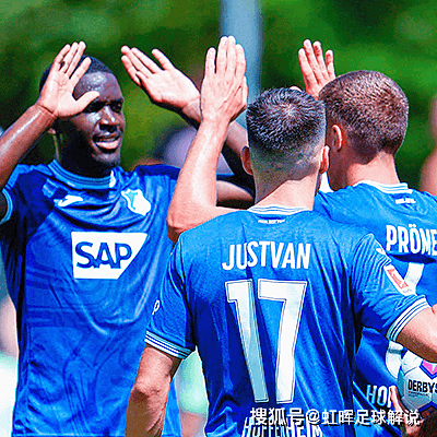 九游体育网页版-霍芬海姆主场庆祝获胜超凡表现令人瞩目
