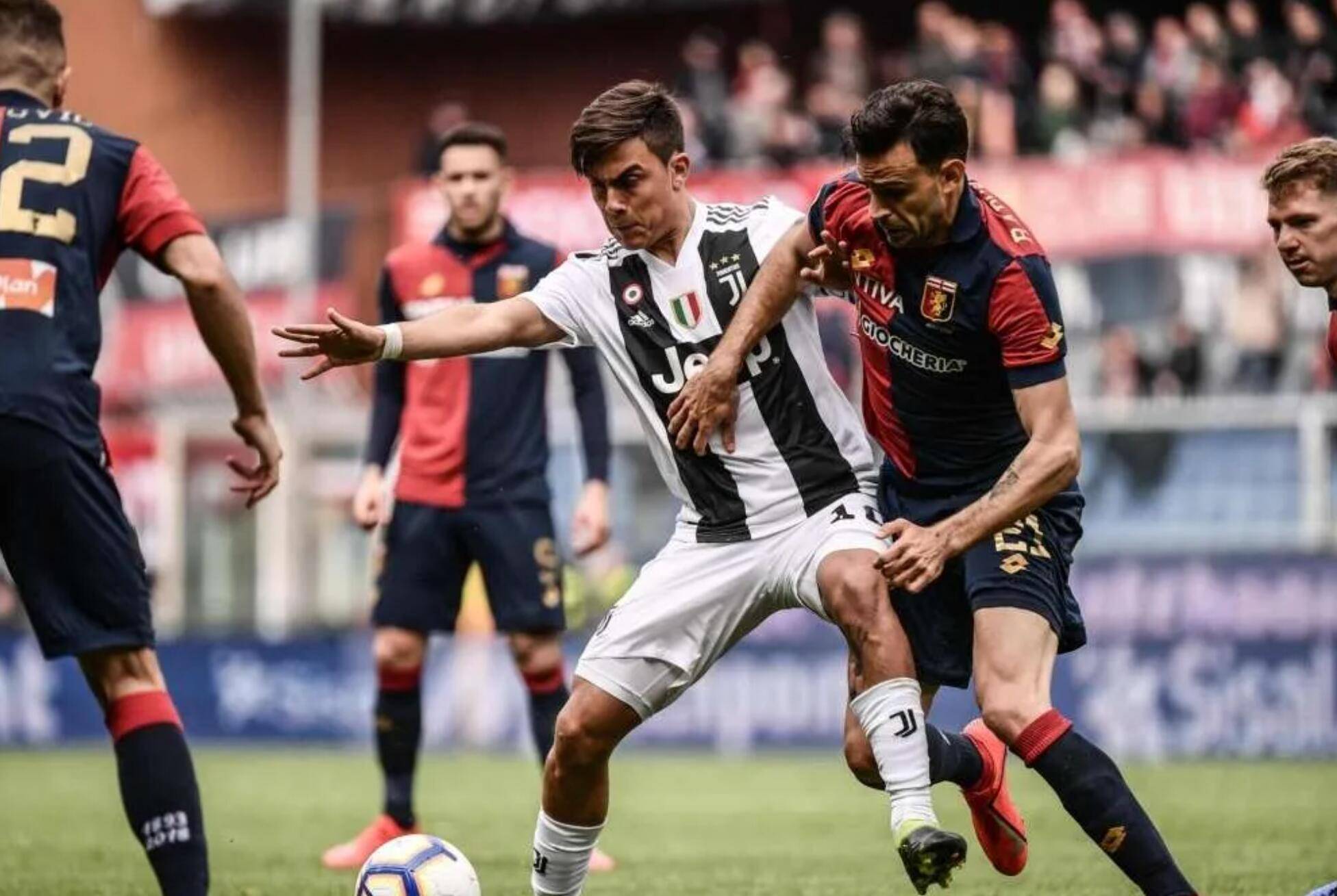 九游体育中国官网-热那亚喜迎好消息，球队士气高涨的简单介绍